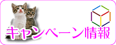 �L�����y�[�������`�F�b�N�I